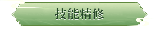 技能精修